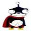 cordman
